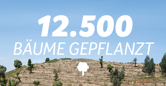12.500 Bäume gepflanzt