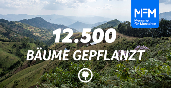 12.500 Bäume gepflanzt